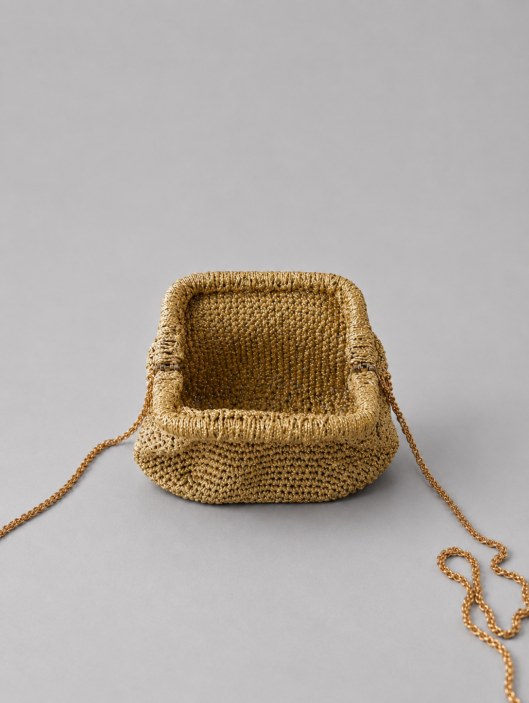 Gold Chain Bag